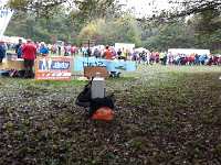 2014.10.12 - 37. Harzgebirgslauf - 51